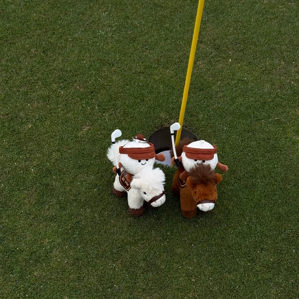 Hole-in-One Horse Golf Gift Charm - Image 7