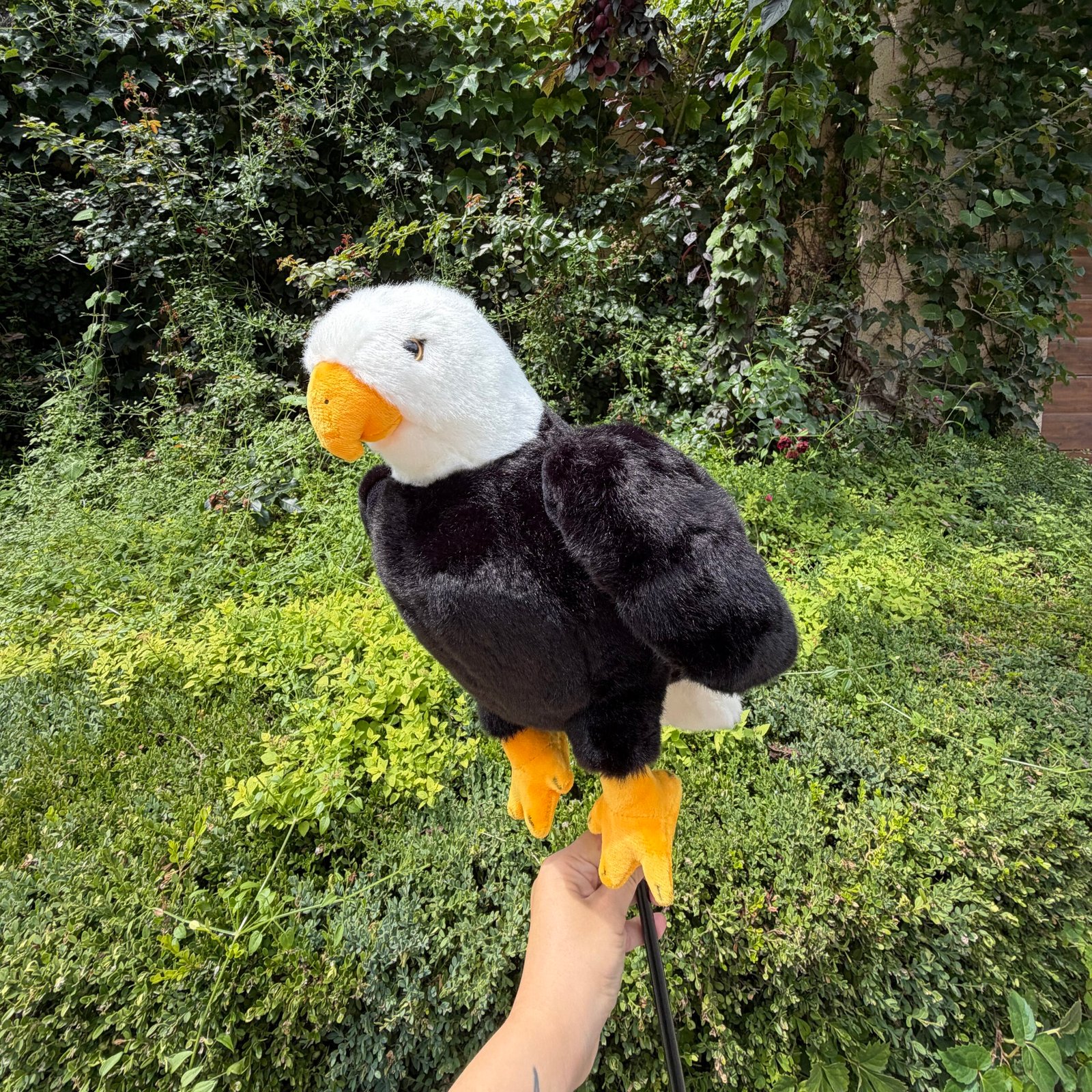Bald Eagle Driver Headcover - Image 5